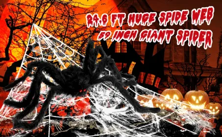 Halloween Decorations - 295" Halloween Spider Web Decorations Outdoor + 59" Giant Fake Spider With Triangular Huge Spiders Web - Scary Decor Clea (Option: Black)